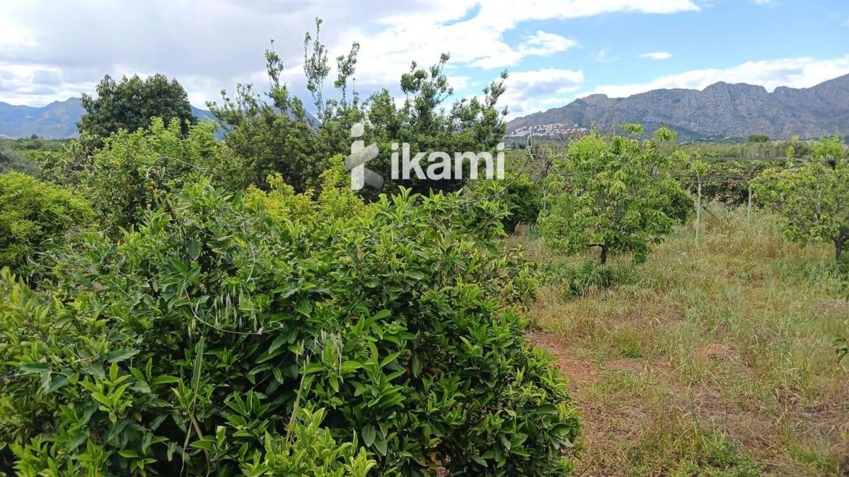 Terreno en venta en Pedreguer, Alicante photo 2