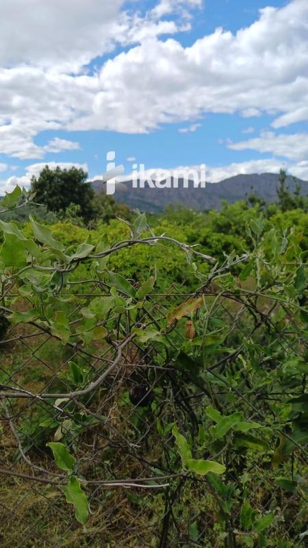 Terreno en venta en Pedreguer, Alicante photo 4