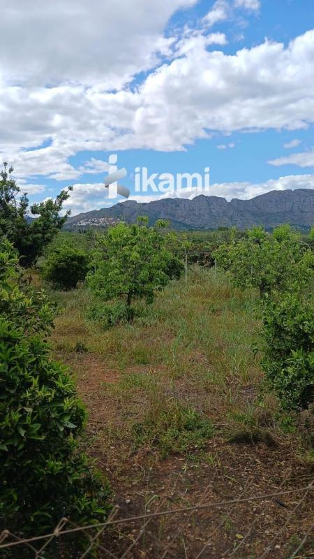 Terreno en venta en Pedreguer, Alicante photo 5