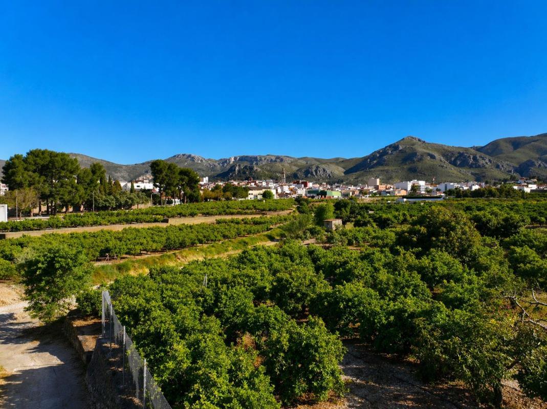Działka na sprzedaż w Pego, Alicante photo 5