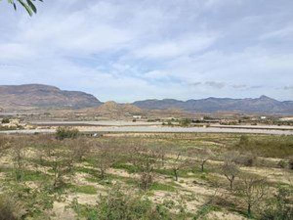 Terreno en Partida Walaig, 9, Monforte del Cid photo 1