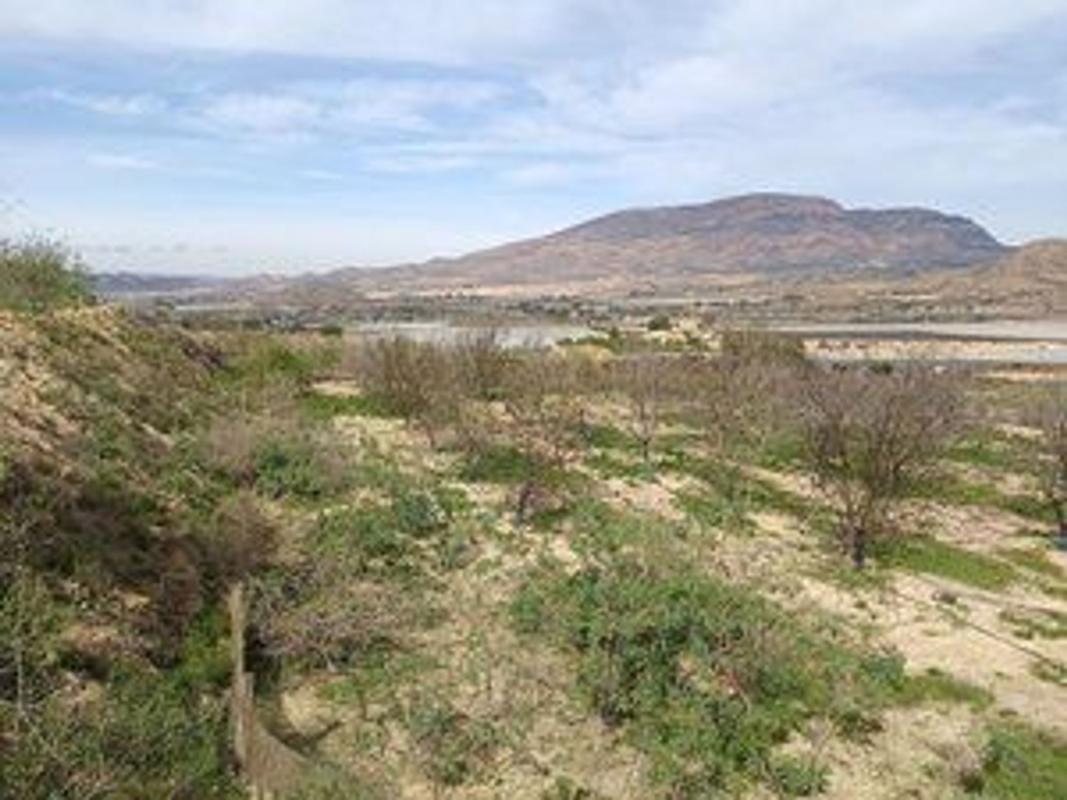 Terreno en venta en Monforte del Cid, Alicante photo 2