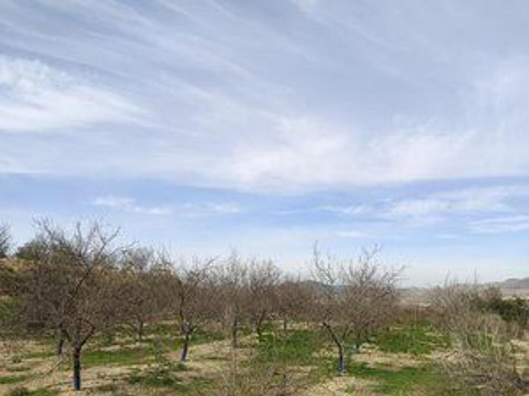 Terreno en venta en Monforte del Cid, Alicante photo 3