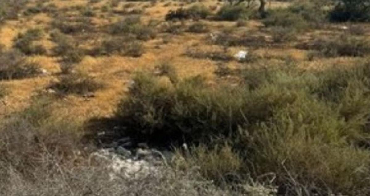 Terreno en venta en Monforte del Cid, Alicante photo 2