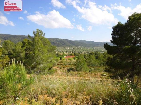 Terreno en Ibi photo 2