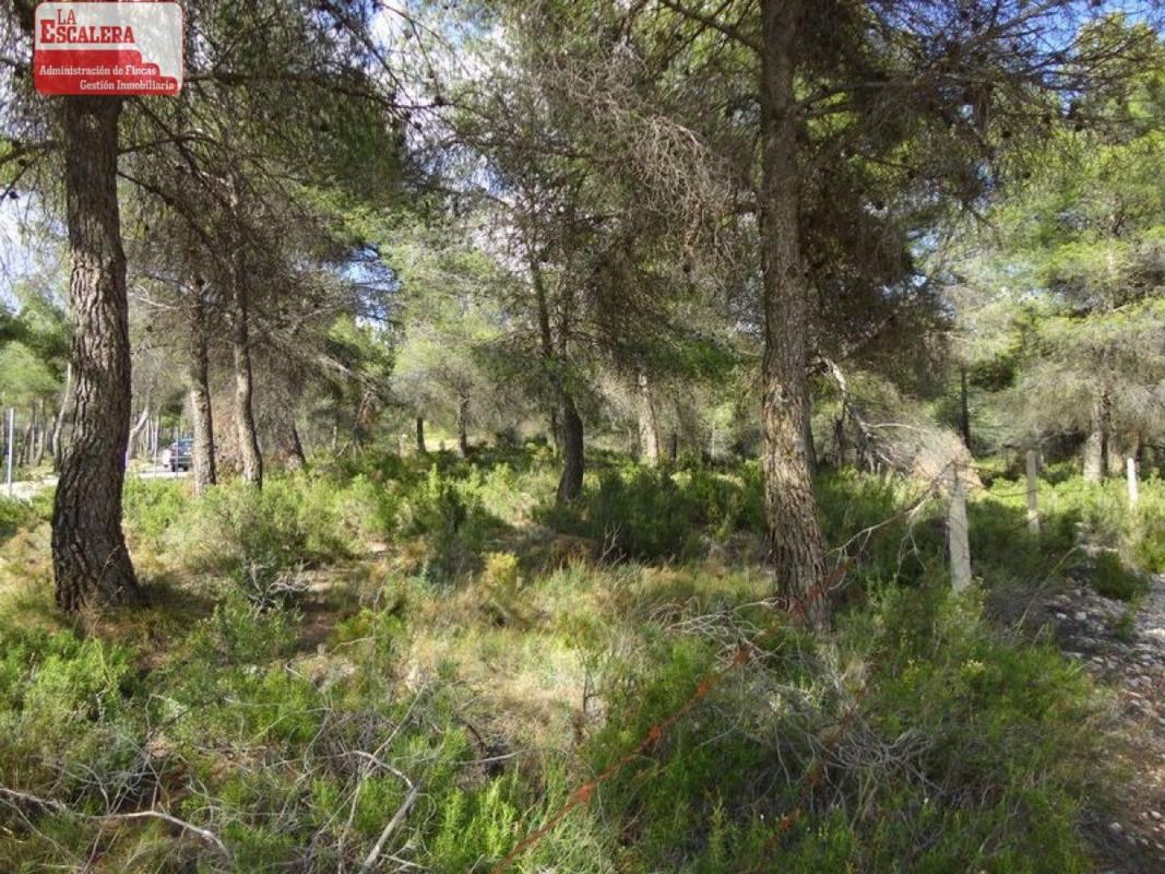 Działka na sprzedaż w Ibi, Alicante photo 3