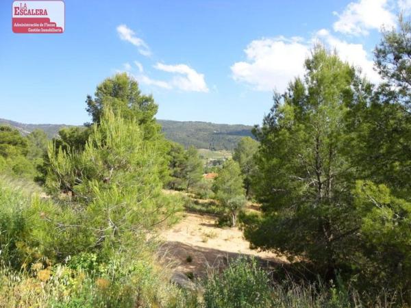 Terreno en Ibi photo 4