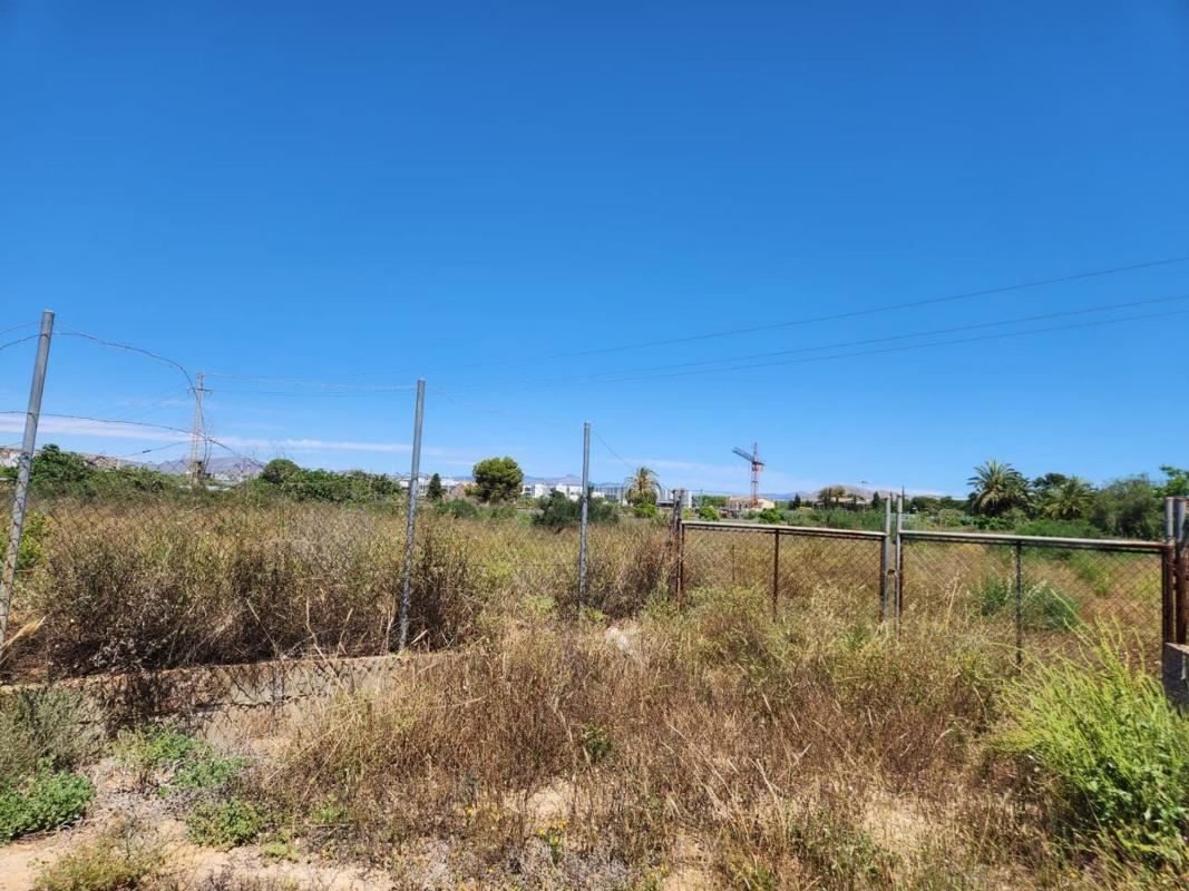 Terreno en venta en Elche / Elx, Alicante photo 4