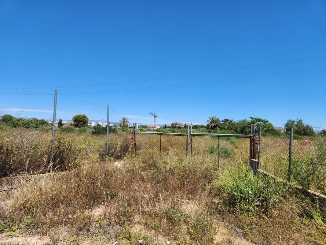 Terreno en venta en Elche / Elx, Alicante photo 5