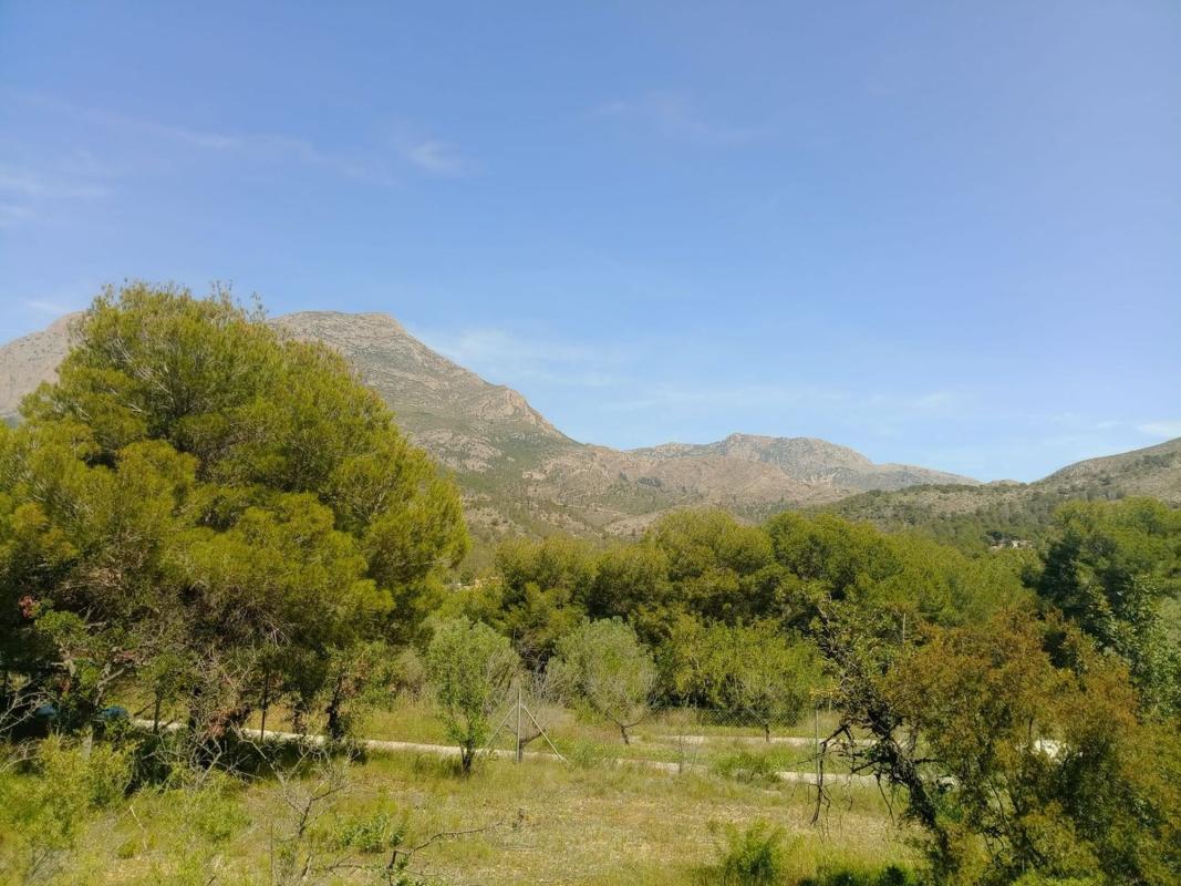 Terreno en venta en Finestrat, Alicante photo 1