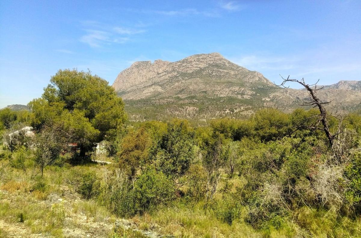 Terreno en venta en Finestrat, Alicante photo 2