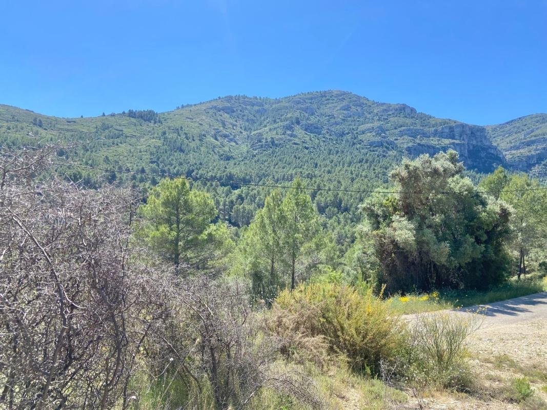 Terreno en venta en Benichembla, Alicante photo 1
