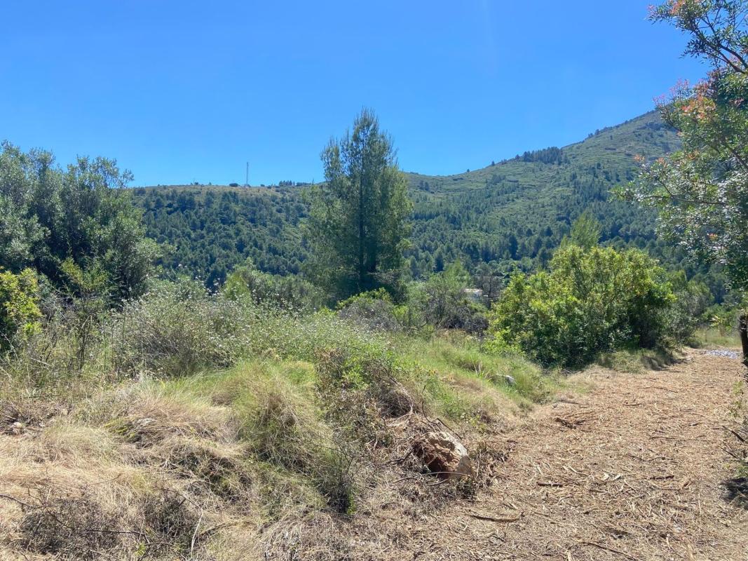 Terreno en venta en Benichembla, Alicante photo 2