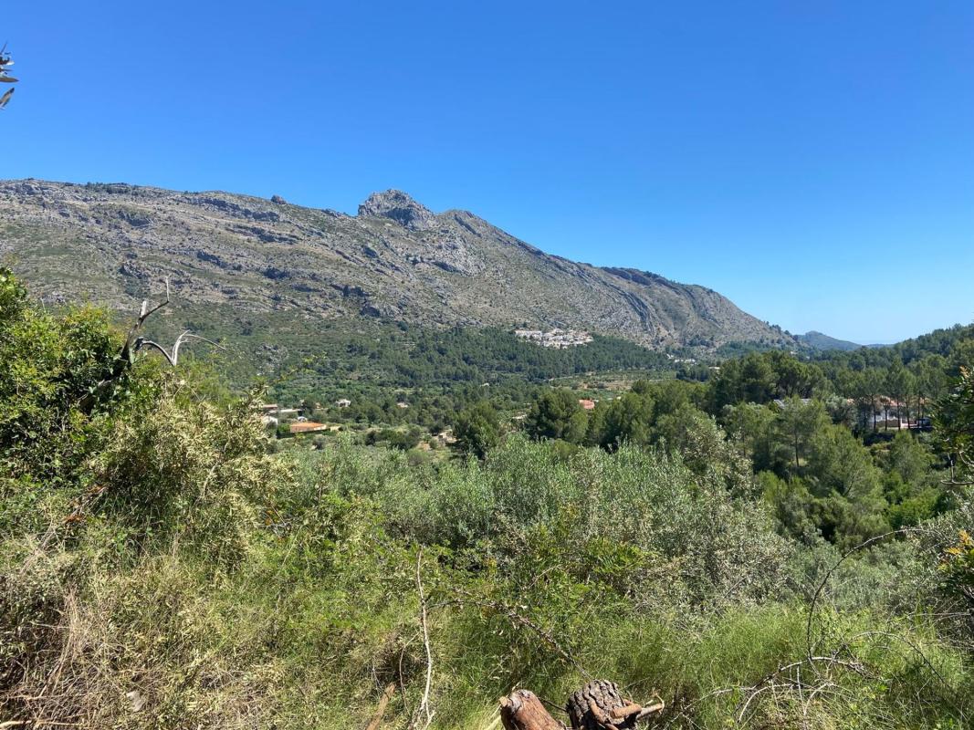 Terreno en venta en Benichembla, Alicante photo 4