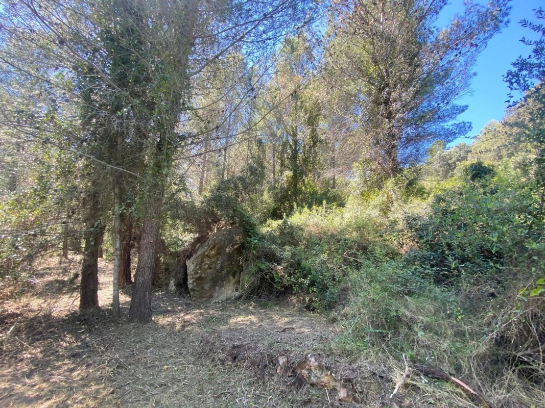 Terreno en venta en Benichembla, Alicante photo 5