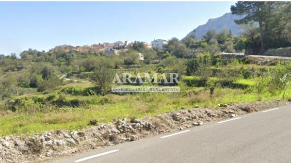 Terreno en Pego photo 1