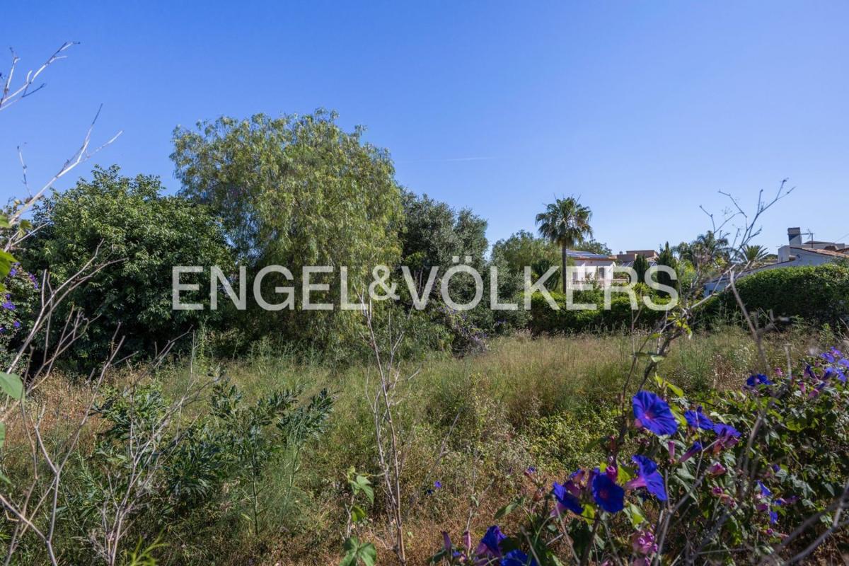 Terreno en venta en Denia, Alicante photo 2
