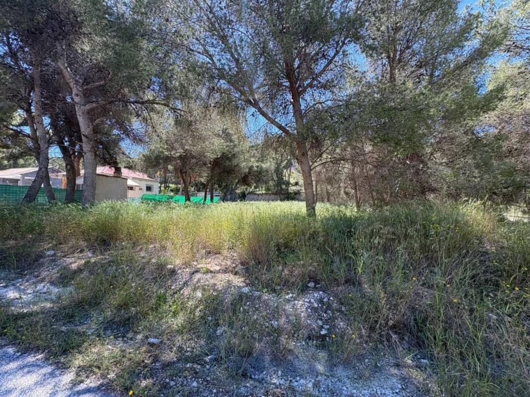 Terreno en venta en Tibi, Alicante photo 5