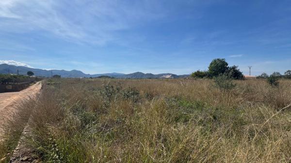 Terreno en Pego photo 3