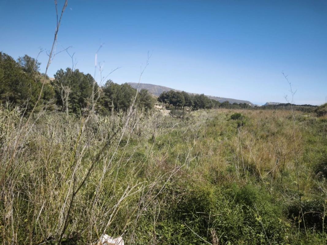 Terreno en venta en Teulada, Alicante photo 1