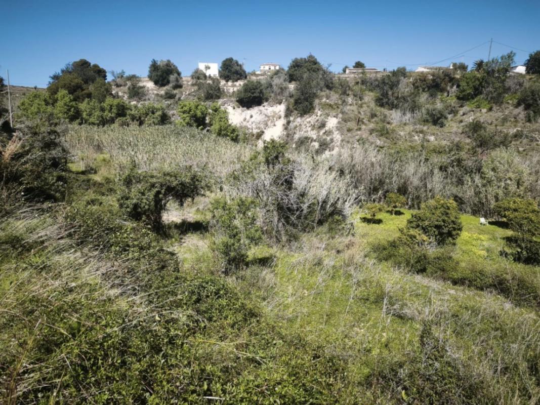 Terreno en venta en Teulada, Alicante photo 5