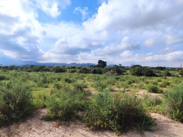 Terreno en Partida Llano San José polígono 1, Algoda-Matola-Llano de San José, Elche / Elx photo 1