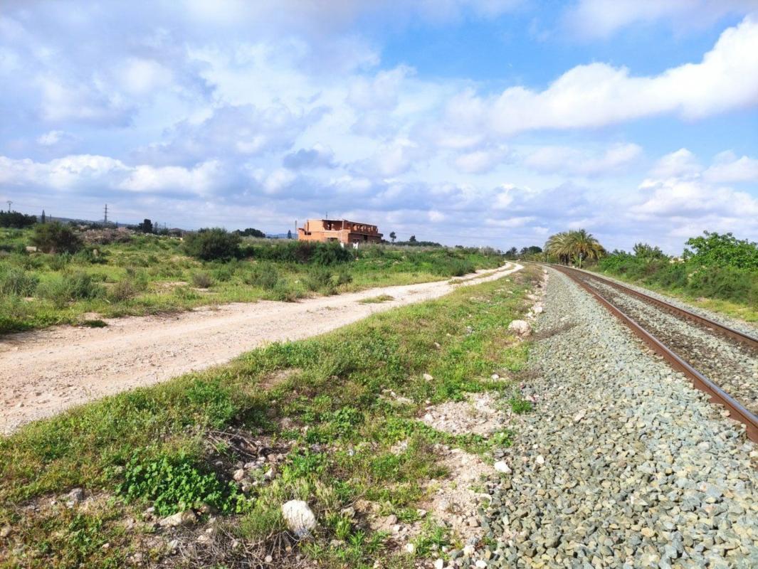Land for sale in Elche / Elx, Alicante photo 2