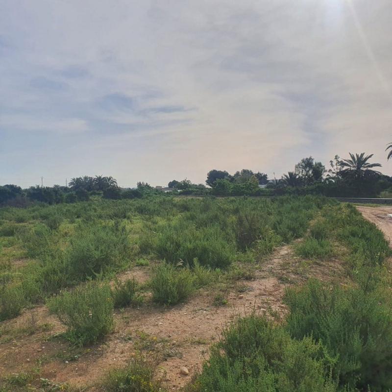 Land for sale in Elche / Elx, Alicante photo 3