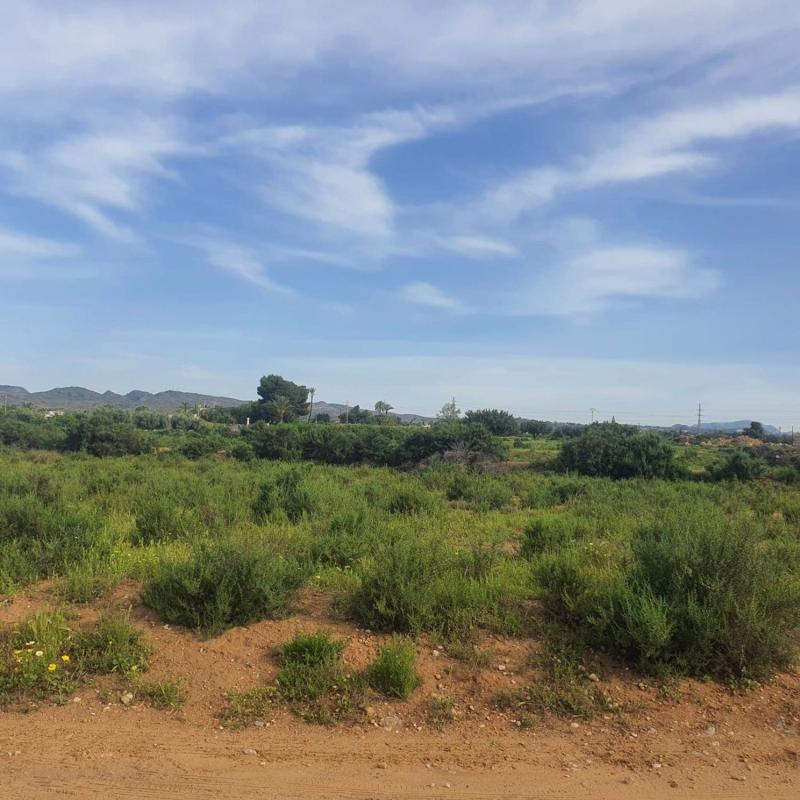 Land for sale in Elche / Elx, Alicante photo 4