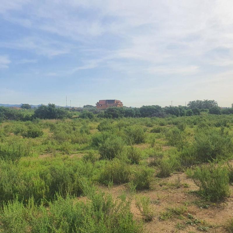 Land for sale in Elche / Elx, Alicante photo 5