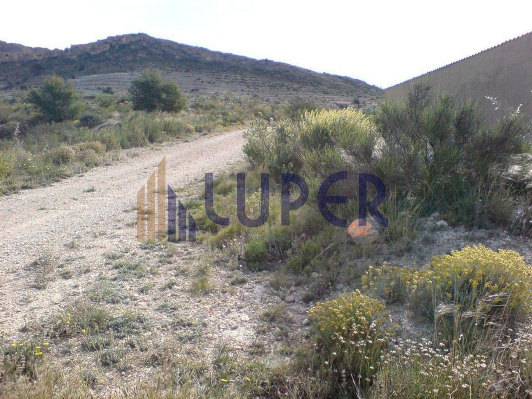 Terreno en venta en Jijona / Xixona, Alicante photo 3