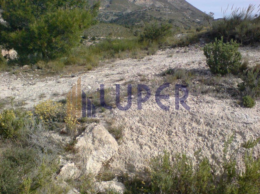 Terreno en venta en Jijona / Xixona, Alicante photo 4