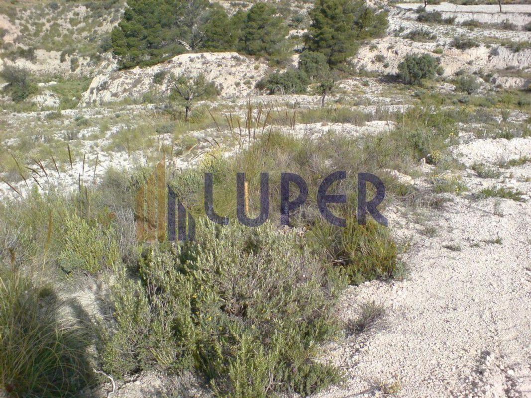 Terreno en venta en Jijona / Xixona, Alicante photo 5