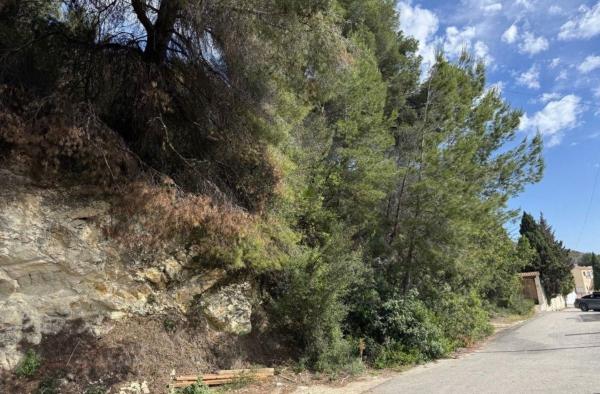 Terreno en Sol de Este - Puerta Fenicia, Jávea/Xàbia thumbnail 1