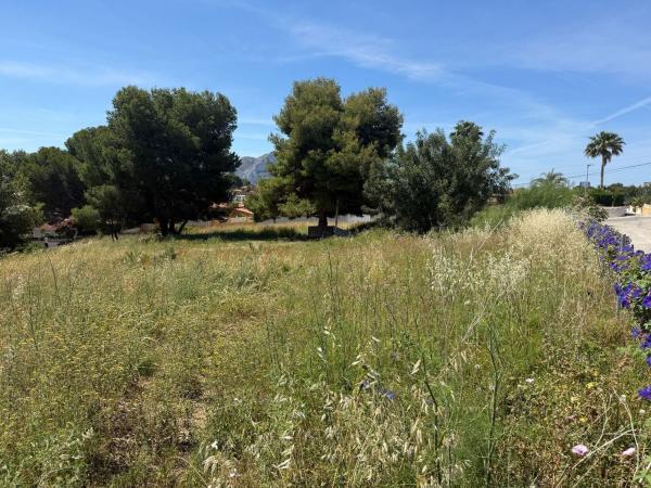 Terreno en Partida Cuxarret, Cometa-Carrió, Calpe photo 3