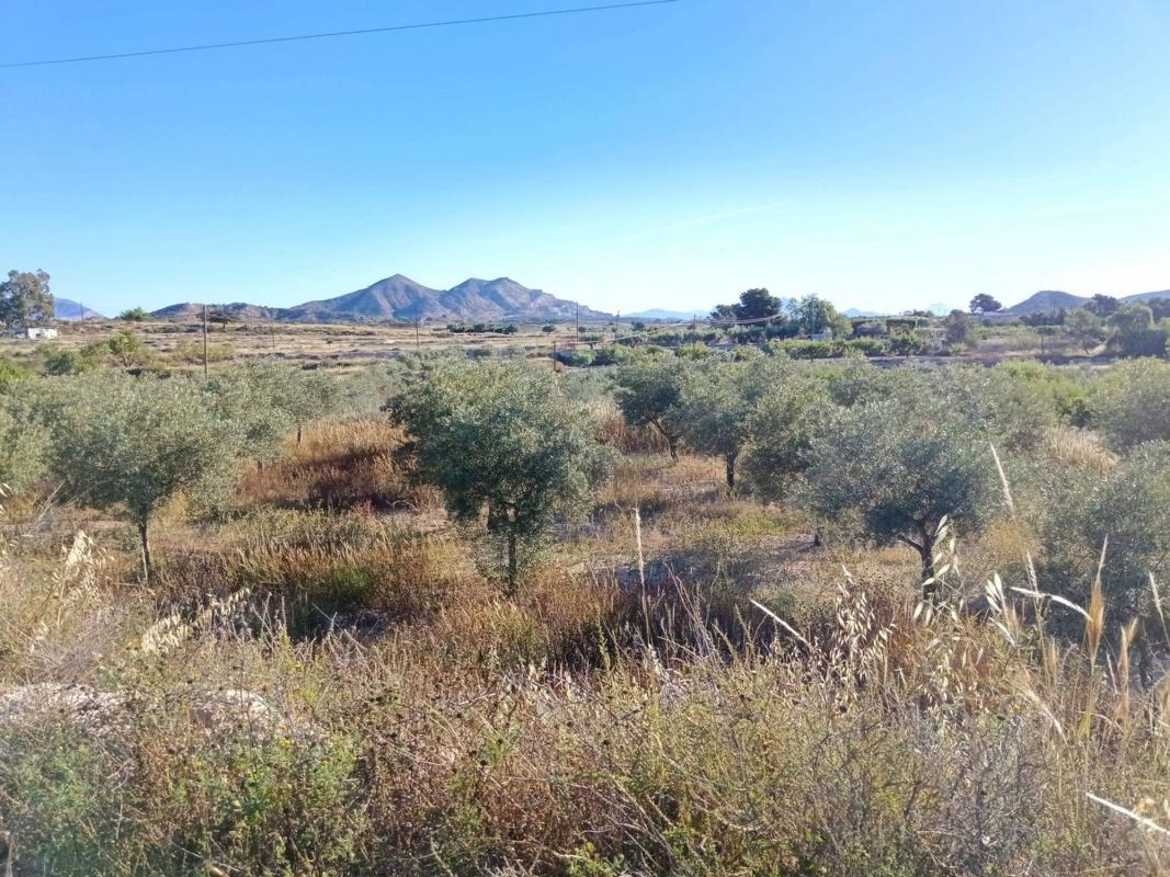 Terreno en venta en Rebolledo, Alicante photo 1