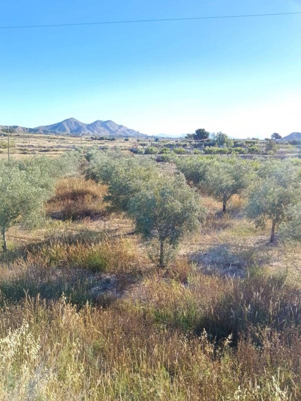 Terreno en venta en Rebolledo, Alicante photo 3