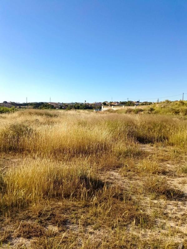 Terreno en venta en Rebolledo, Alicante photo 4