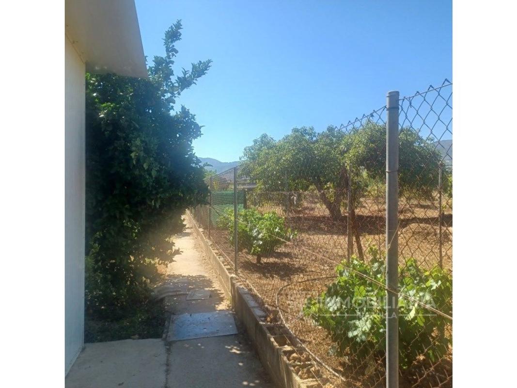 Properties for sale and rent in Spain photo 3