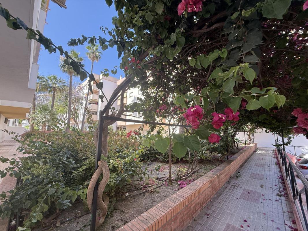 Sale of apartment in Piso en Avenida Andalucía, 51, Centro, Estepona, Estepona
photo 3