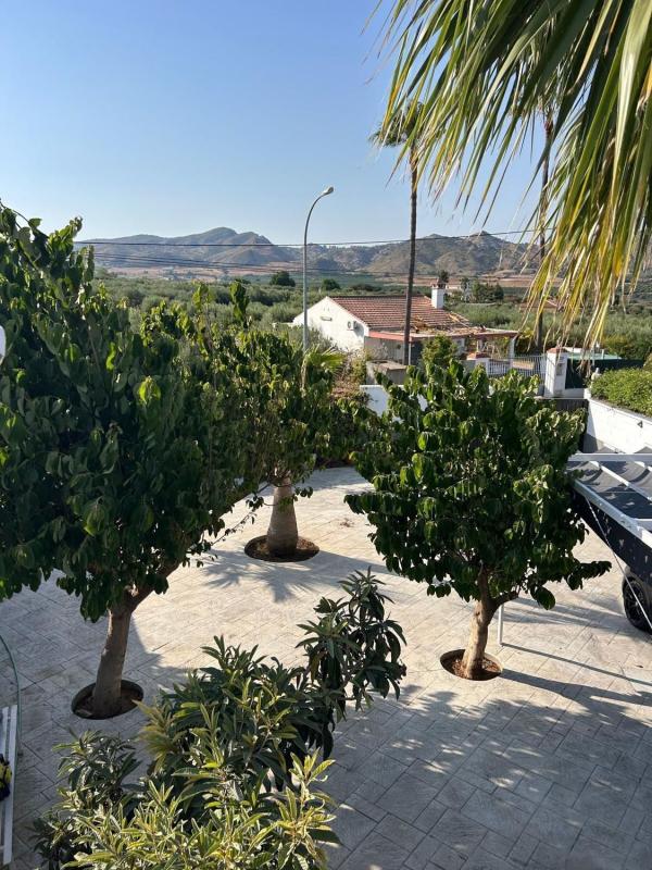 Properties for sale and rent in Spain photo 4