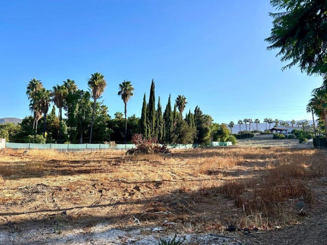 Properties for sale and rent in Spain photo 5
