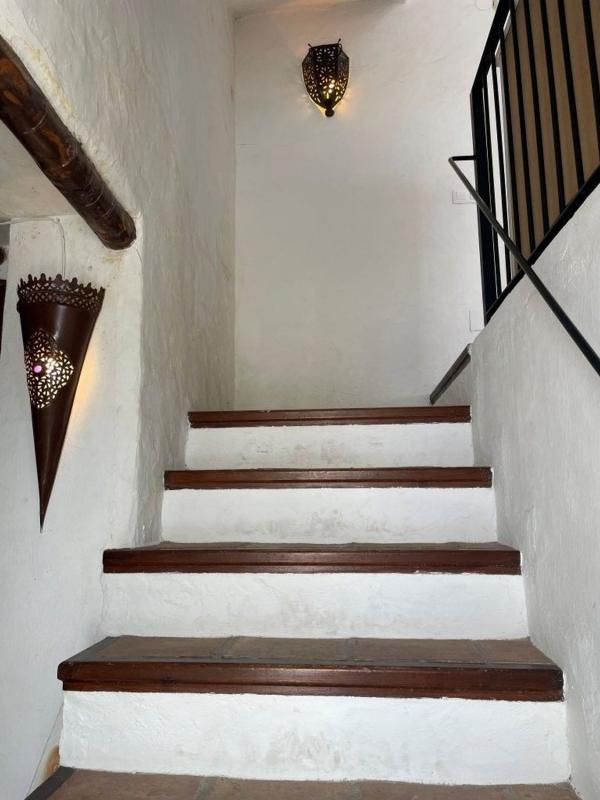 Properties for sale and rent in Spain photo 3