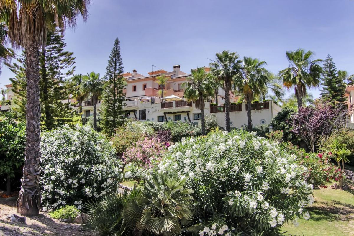 Properties for sale and rent in Spain photo 1