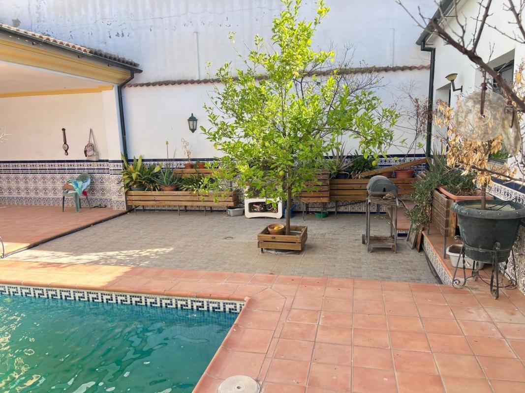 Properties for sale and rent in Spain photo 3