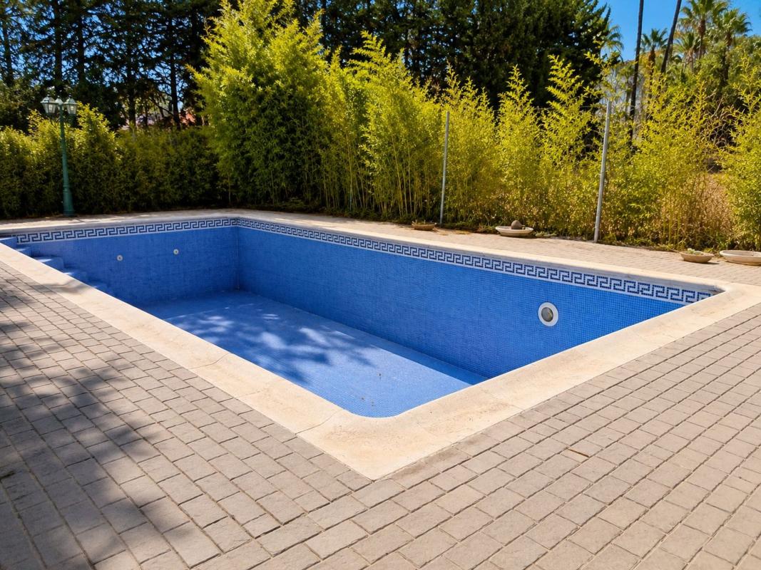 Properties for sale and rent in Spain photo 2