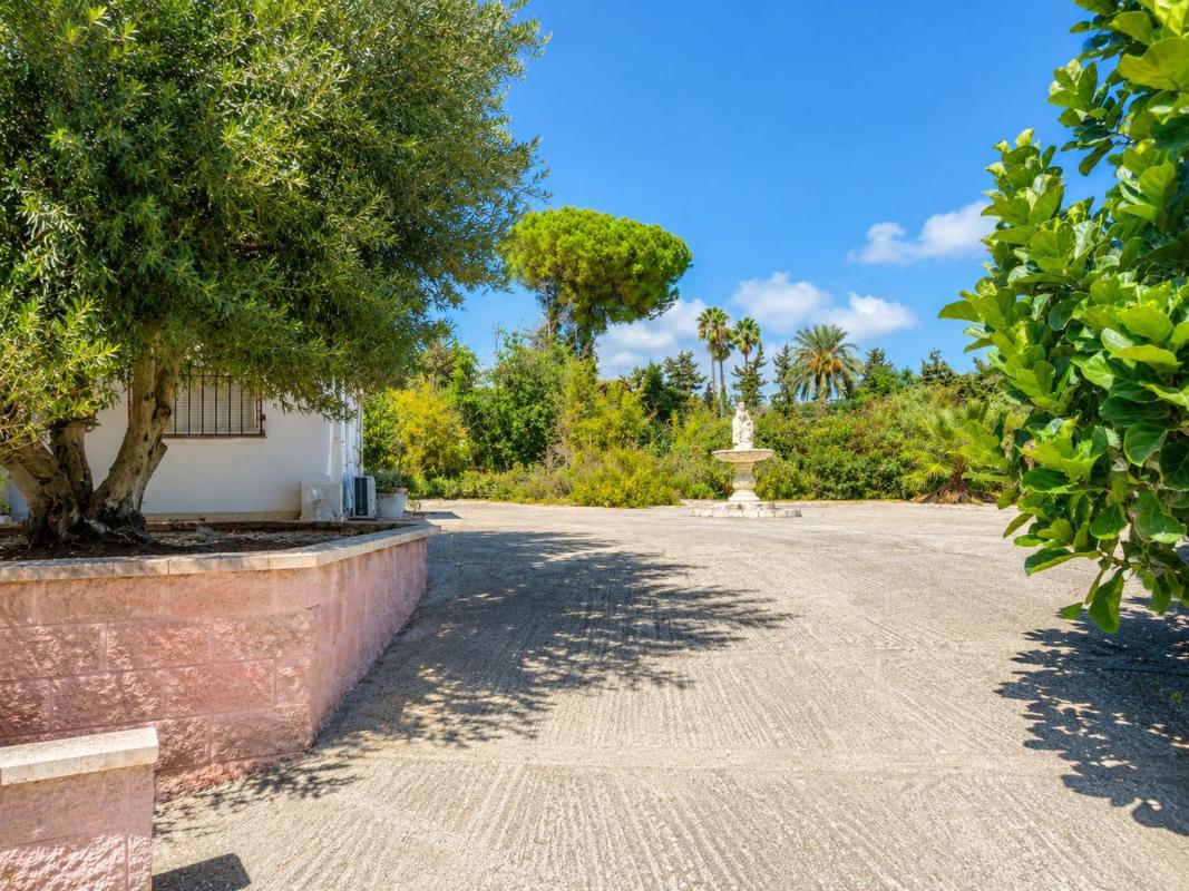 Properties for sale and rent in Spain photo 3