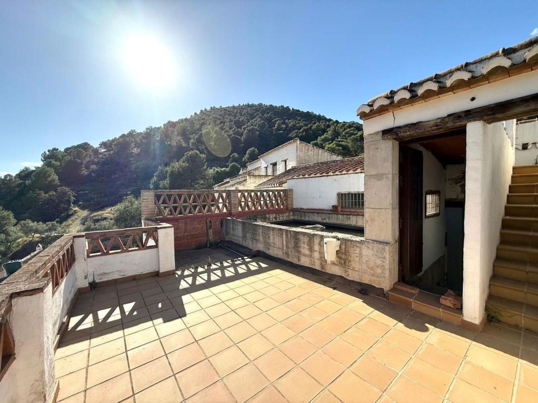 Propiedades en venta y alquiler en España photo 1
