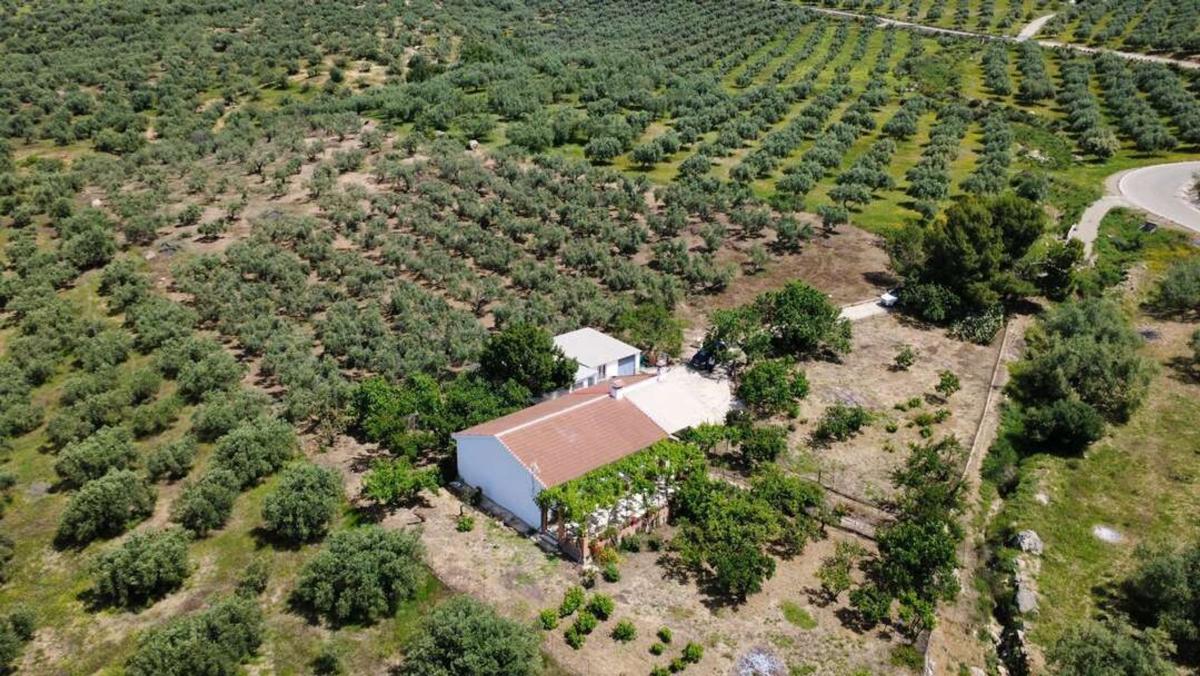 Propiedades en venta y alquiler en España photo 2