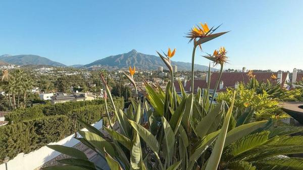Ático en venta en  Ático en Calle Real, 17, Nueva Andalucía, Marbella, Marbella photo 2